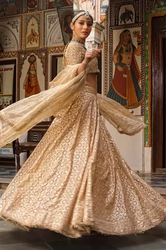 Beige Banarasi Chanderi Lehenga