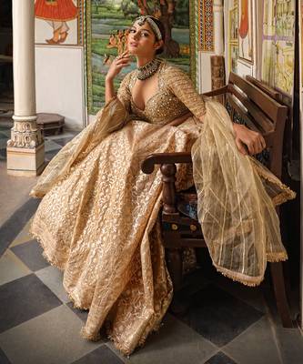 Beige Banarasi Chanderi Lehenga 4