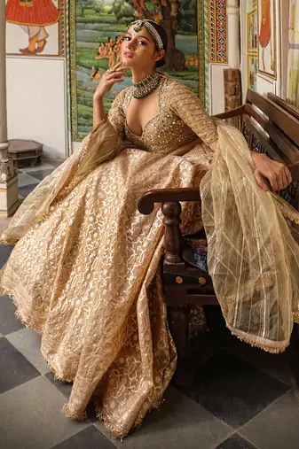 Beige Banarasi Chanderi Lehenga