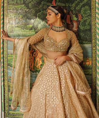 Beige Banarasi Chanderi Lehenga 5