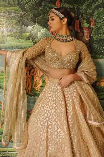 Beige Banarasi Chanderi Lehenga