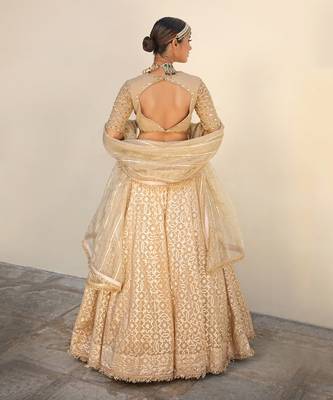 Beige Banarasi Chanderi Lehenga 6
