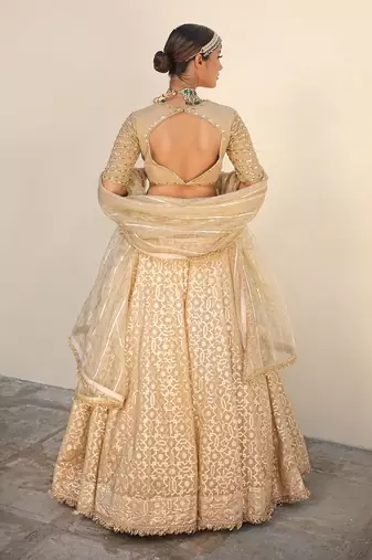 Beige Banarasi Chanderi Lehenga