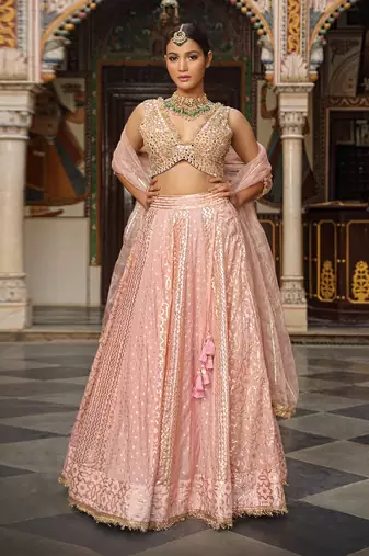 Pink Banarasi Chanderi Lehenga