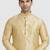 Fawn plain art dupion silk kurta-pajama