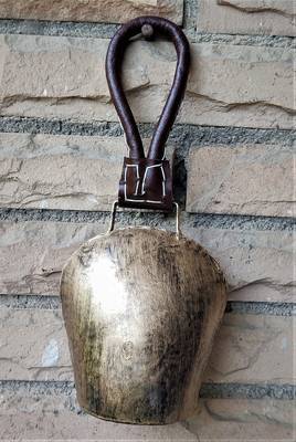 Purse Bell Gold (6") 3
