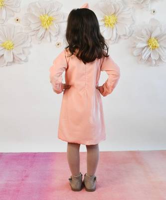 Baby Pink Velvet Dress 2