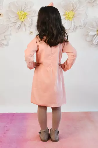 Baby Pink Velvet Dress