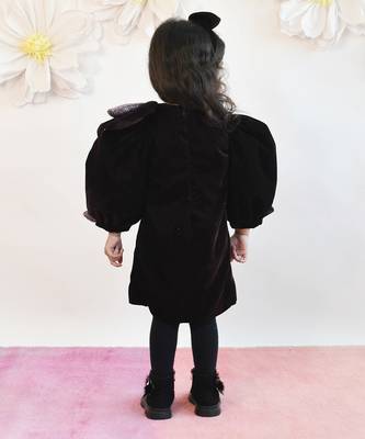 Brown Velvet Dress 3