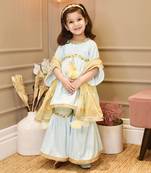 Light Blue Velvet Kurta Sharara