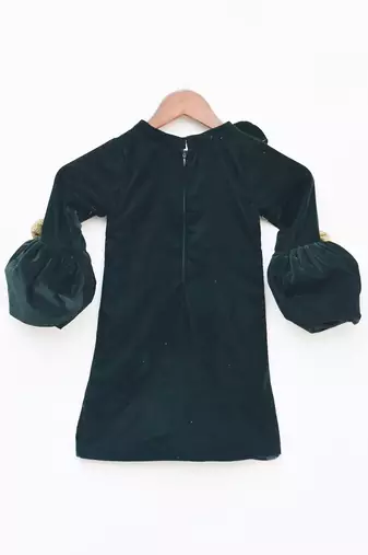 Green Velvet Dress