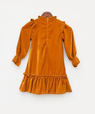Musterd Velvet Dress 2