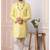 Yellow embroidered art silk sherwani