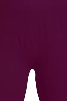  Lyra Multicolour Free Size Churidar Leggings
