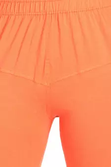  Lyra Multicolour Free Size Churidar Leggings