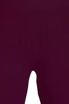  Lyra Multicolour Free Size Churidar Leggings