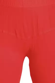  Lyra Multicolour Free Size Churidar Leggings