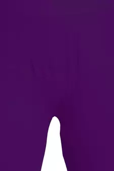  Lyra Multicolour Free Size Churidar Leggings