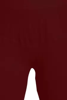  Lyra Multicolour Free Size Churidar Leggings
