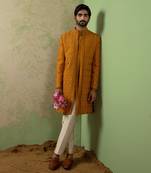 Ochre Embroidered Achkan Set