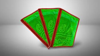atorakushon Parachute Single Saree Salwar Suit Dress Protection Saree Cover Garment pouch Storage bag Pack 3 (Maroon) 4