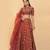 Red High Neck Embroidered Choli With Lehenga Dupatta Set