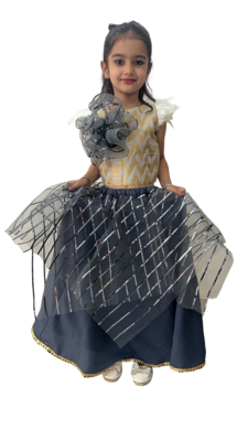 Aglare latest Designer lehenga ,online lehenga choli ,FULLY STITCHED.lehenga choli.Grey 1