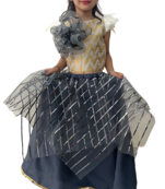 Aglare latest Designer lehenga ,online lehenga choli ,FULLY STITCHED.lehenga choli.Grey