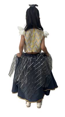 Aglare latest Designer lehenga ,online lehenga choli ,FULLY STITCHED.lehenga choli.Grey 2
