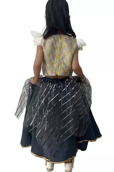 Aglare latest Designer lehenga ,online lehenga choli ,FULLY STITCHED.lehenga choli.Grey