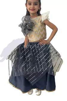 Aglare latest Designer lehenga ,online lehenga choli ,FULLY STITCHED.lehenga choli.Grey