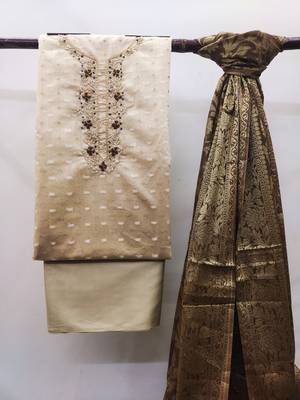 Beige Stone Banarasi Salwar 3