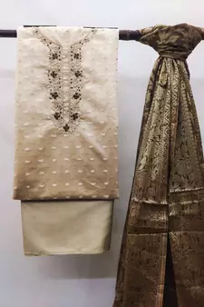 Beige Stone Banarasi Salwar