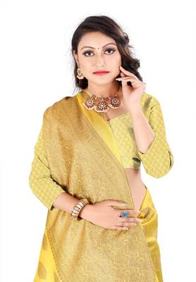 Organza Silk Blend Saree With  Woven Desing Border  With Blouse 4