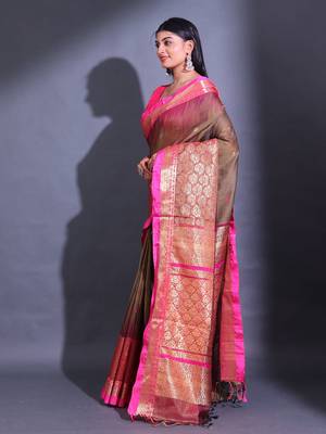 Peanut Brown Cotton Blend Handwoven Saree With Small Ethnic And Nakshi Design 3