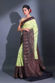 Mint Green Dupion Silk Handwoven Saree With Zari Woven Paisley And Nakshi Patterns