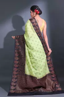 Mint Green Dupion Silk Handwoven Saree With Zari Woven Paisley And Nakshi Patterns