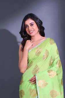 Light Green Cotton Handwoven Saree With Damask Motifs And Texture Pallu