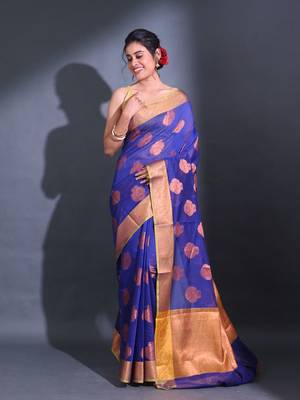 Blue Cotton Handwoven Saree With Nakshi Pattern And Floral Borders 1