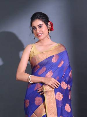 Blue Cotton Handwoven Saree With Nakshi Pattern And Floral Borders 2