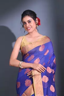 Blue Cotton Handwoven Saree With Nakshi Pattern And Floral Borders
