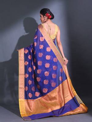 Blue Cotton Handwoven Saree With Nakshi Pattern And Floral Borders 4
