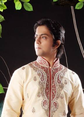 Fawn embroidered art silk sherwani 2
