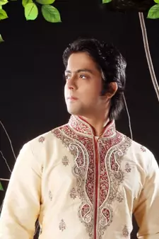 Fawn embroidered art silk sherwani