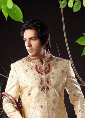 Fawn embroidered art silk sherwani 2