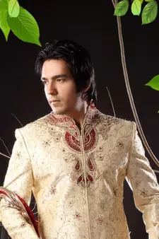 Fawn embroidered art silk sherwani