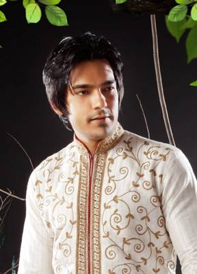 Fawn embroidered art silk sherwani 2