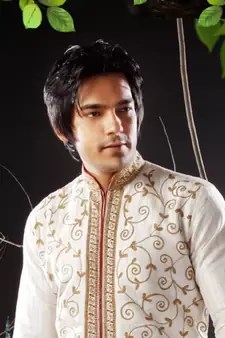 Fawn embroidered art silk sherwani