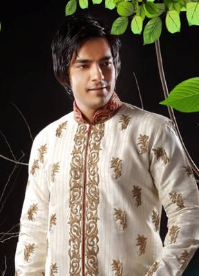 Fawn embroidered art silk sherwani 2