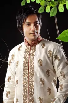 Fawn embroidered art silk sherwani